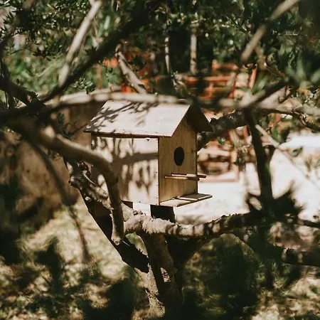 Apartmán Fyaka Loft