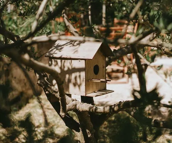 Apartment Fyaka Loft