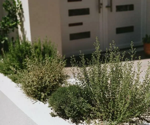 Fyaka Loft Apartman Vodice